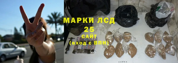 молекула духа Ростов