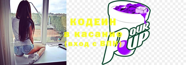 молекула духа Ростов