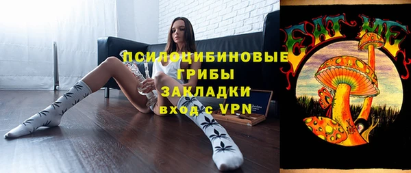 молекула духа Ростов