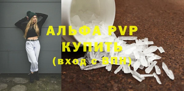 молекула духа Ростов