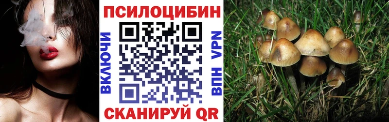 цены   Армянск  Псилоцибиновые грибы мицелий 