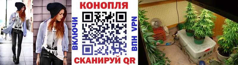 Канабис тримм Армянск